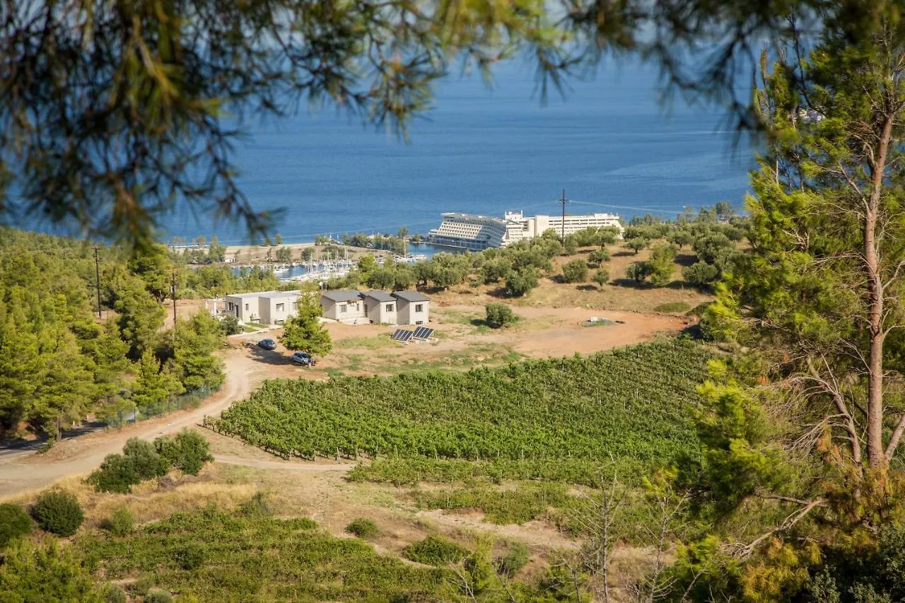 Alikon Adult-Only Aparthotel Neos Marmaras